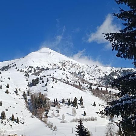 Pinetrees Lodge Plav Zewnętrze zdjęcie