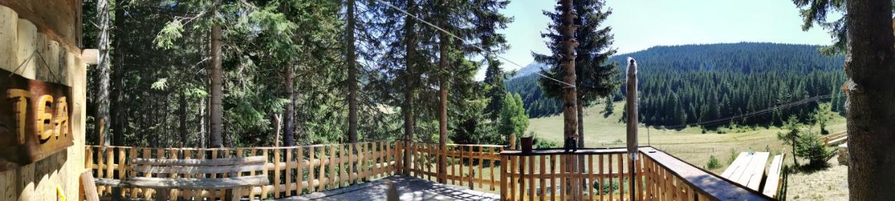 Pinetrees Lodge Plav Zewnętrze zdjęcie