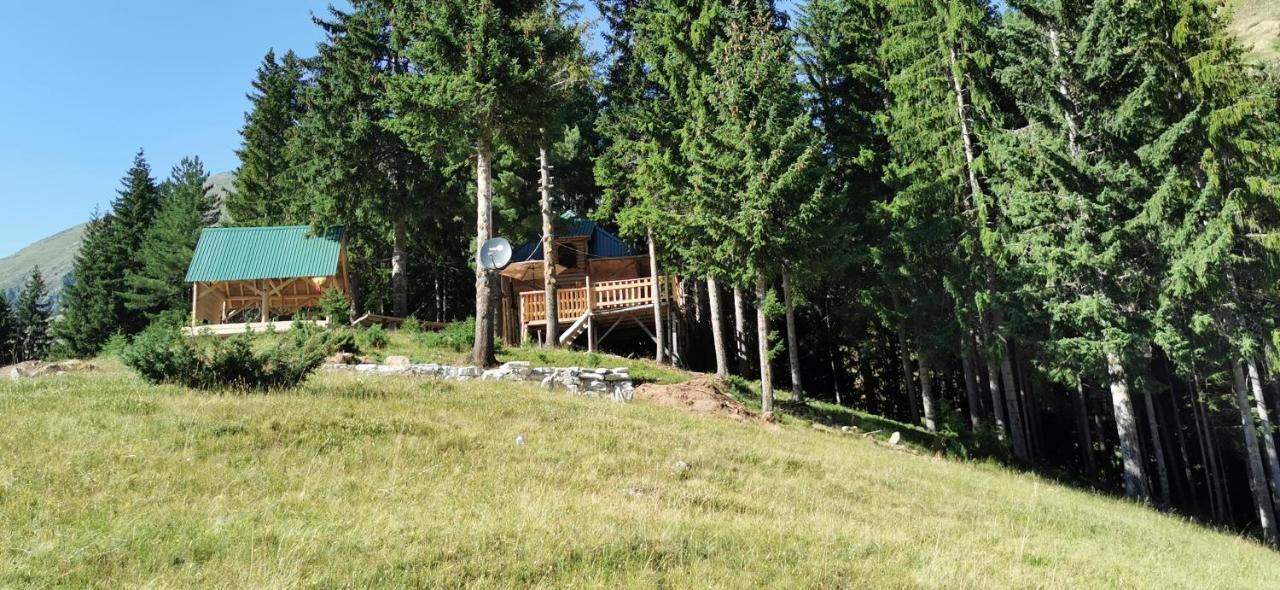 Pinetrees Lodge Plav Zewnętrze zdjęcie