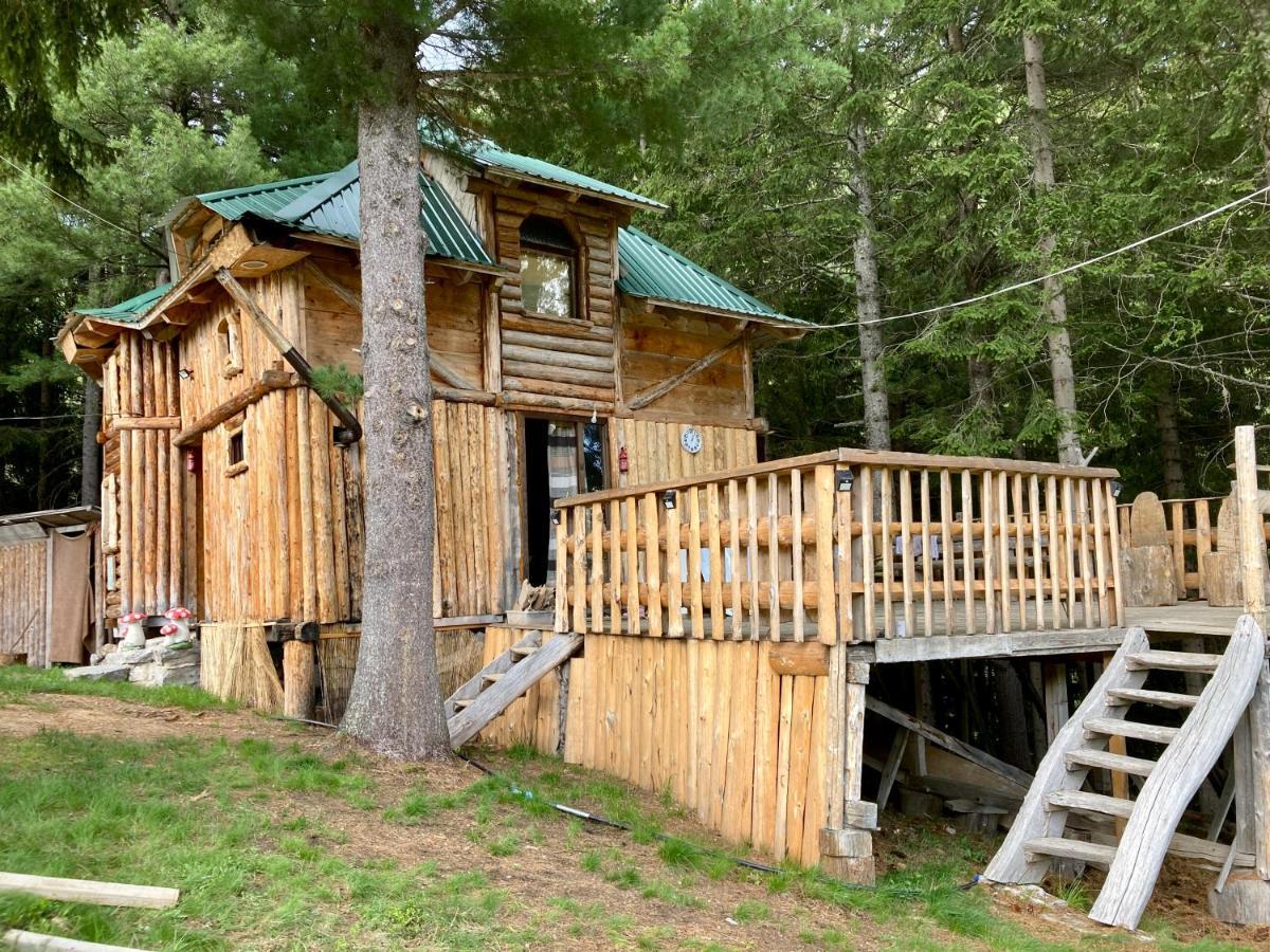 Pinetrees Lodge Plav Zewnętrze zdjęcie
