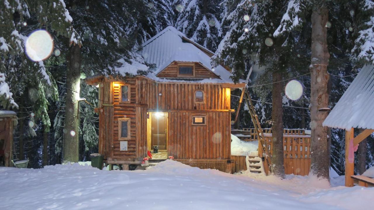 Pinetrees Lodge Plav Zewnętrze zdjęcie