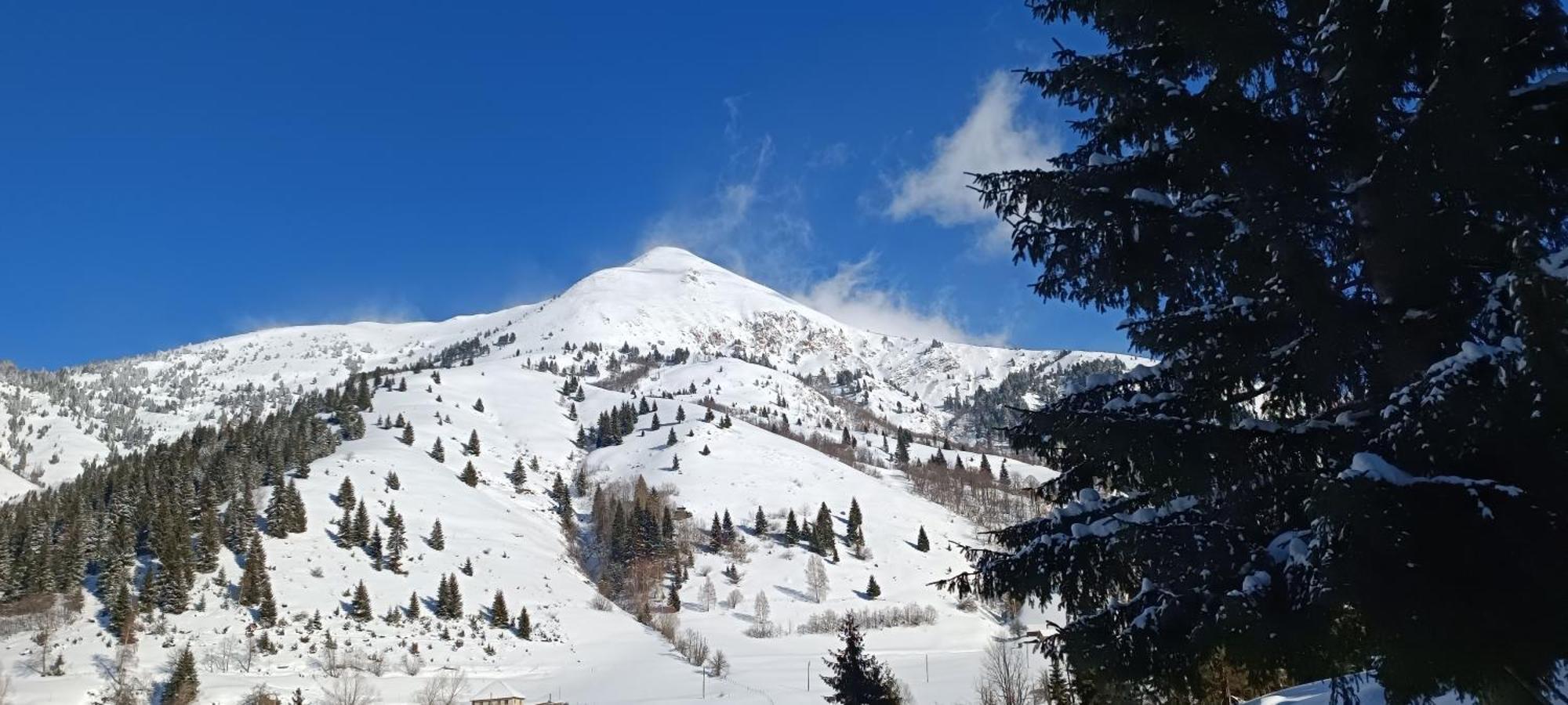 Pinetrees Lodge Plav Zewnętrze zdjęcie