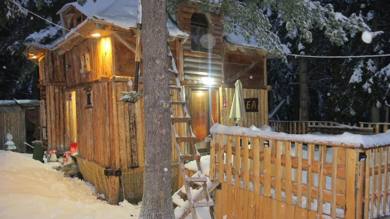 Pinetrees Lodge Plav Zewnętrze zdjęcie