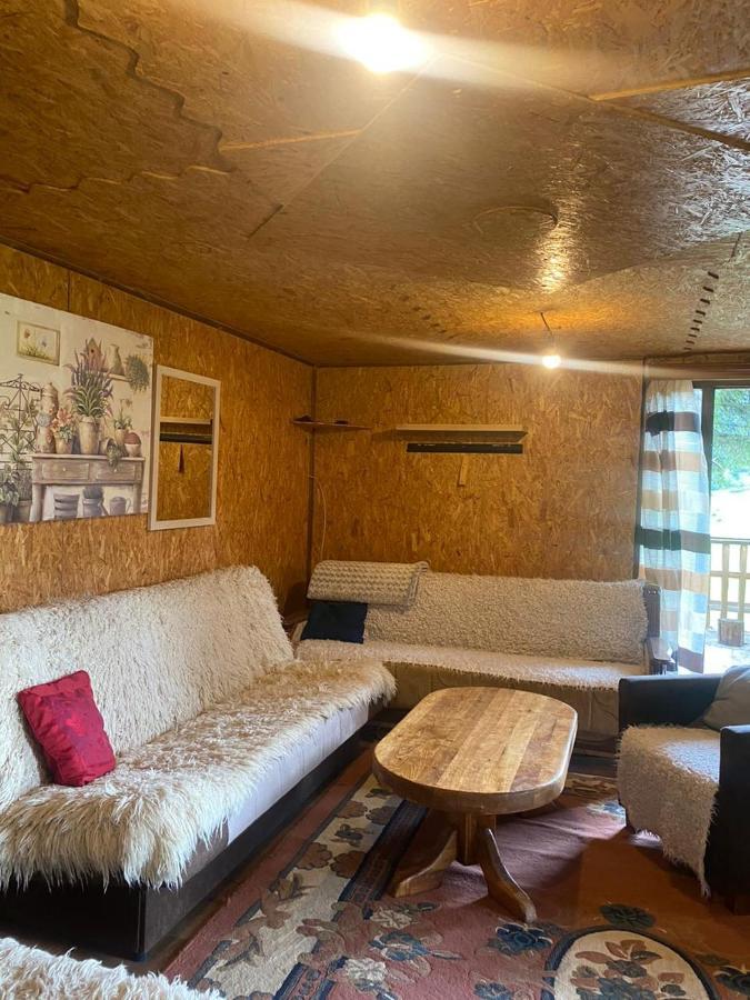 Pinetrees Lodge Plav Zewnętrze zdjęcie