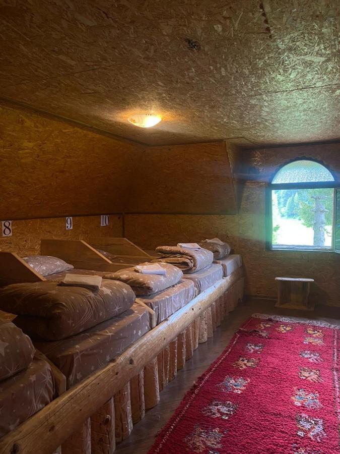 Pinetrees Lodge Plav Zewnętrze zdjęcie