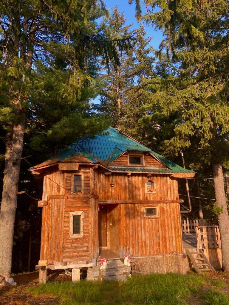 Pinetrees Lodge Plav Zewnętrze zdjęcie